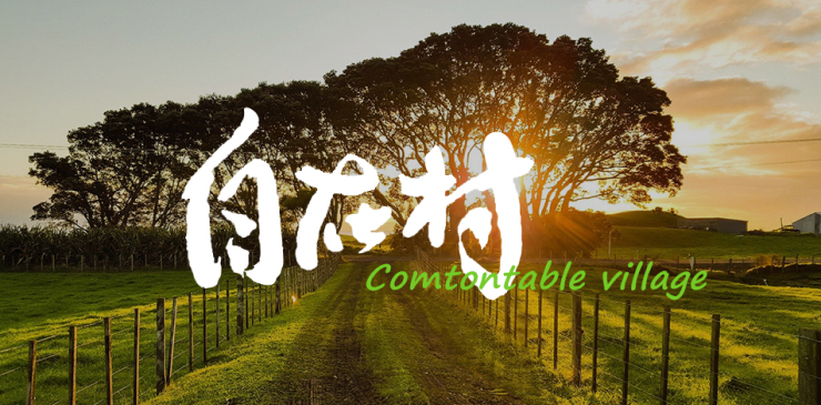 小程序开发-小程序开发