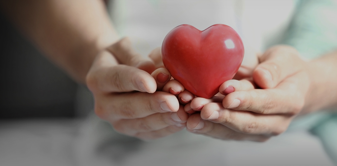 乐邦为正泰打造的公益类网站设计、网站建设、品牌官网-网站设计